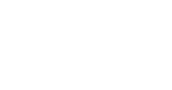Logo REAI